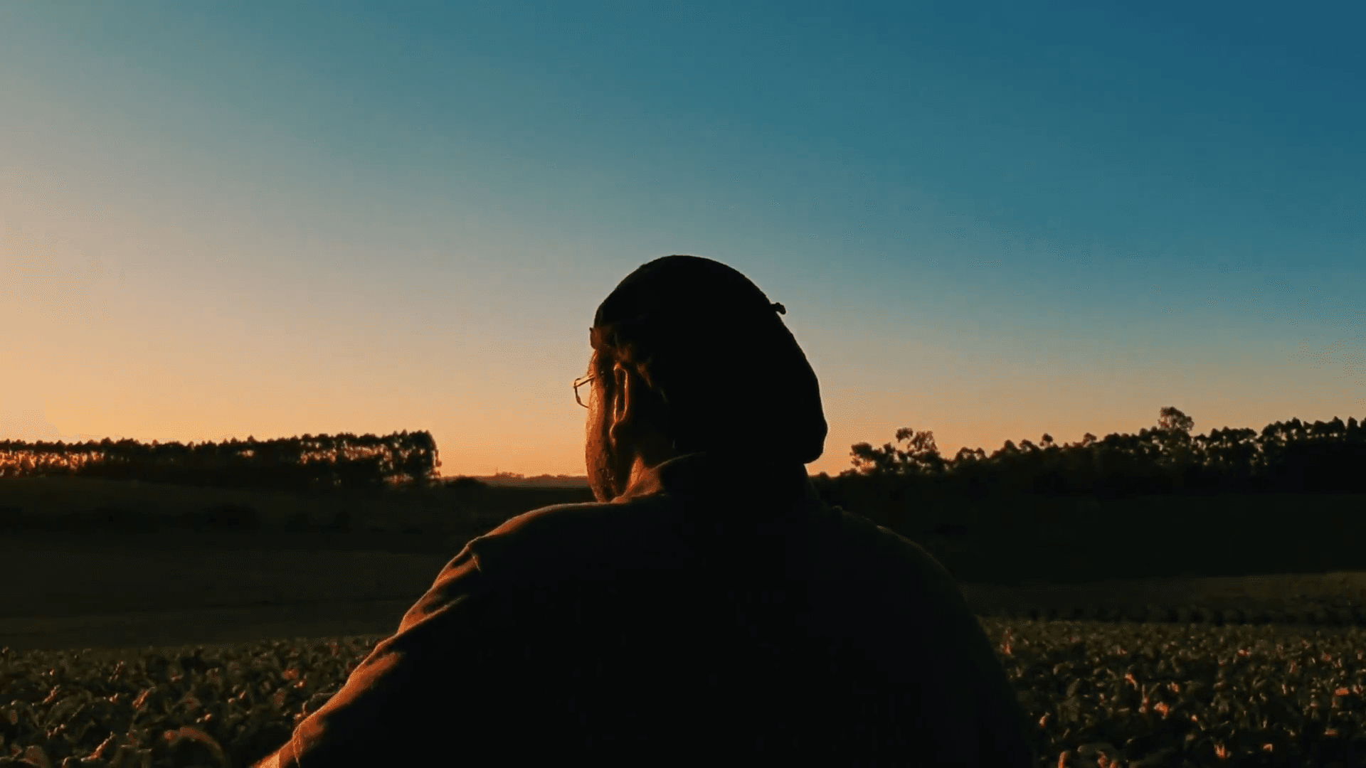 Banner 0