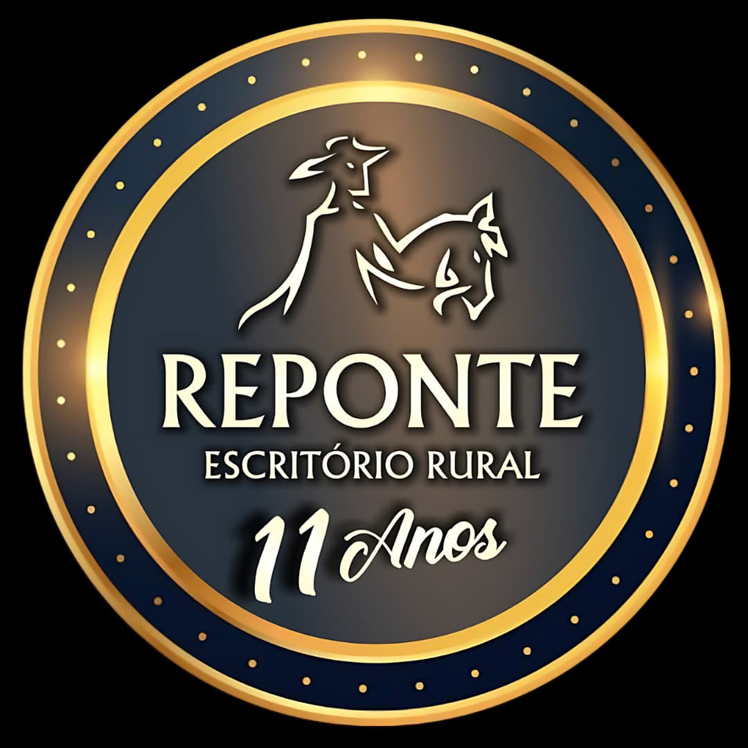 Reponte