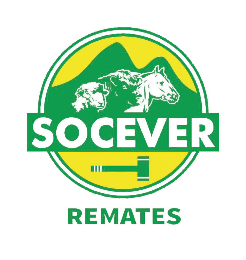 Socever